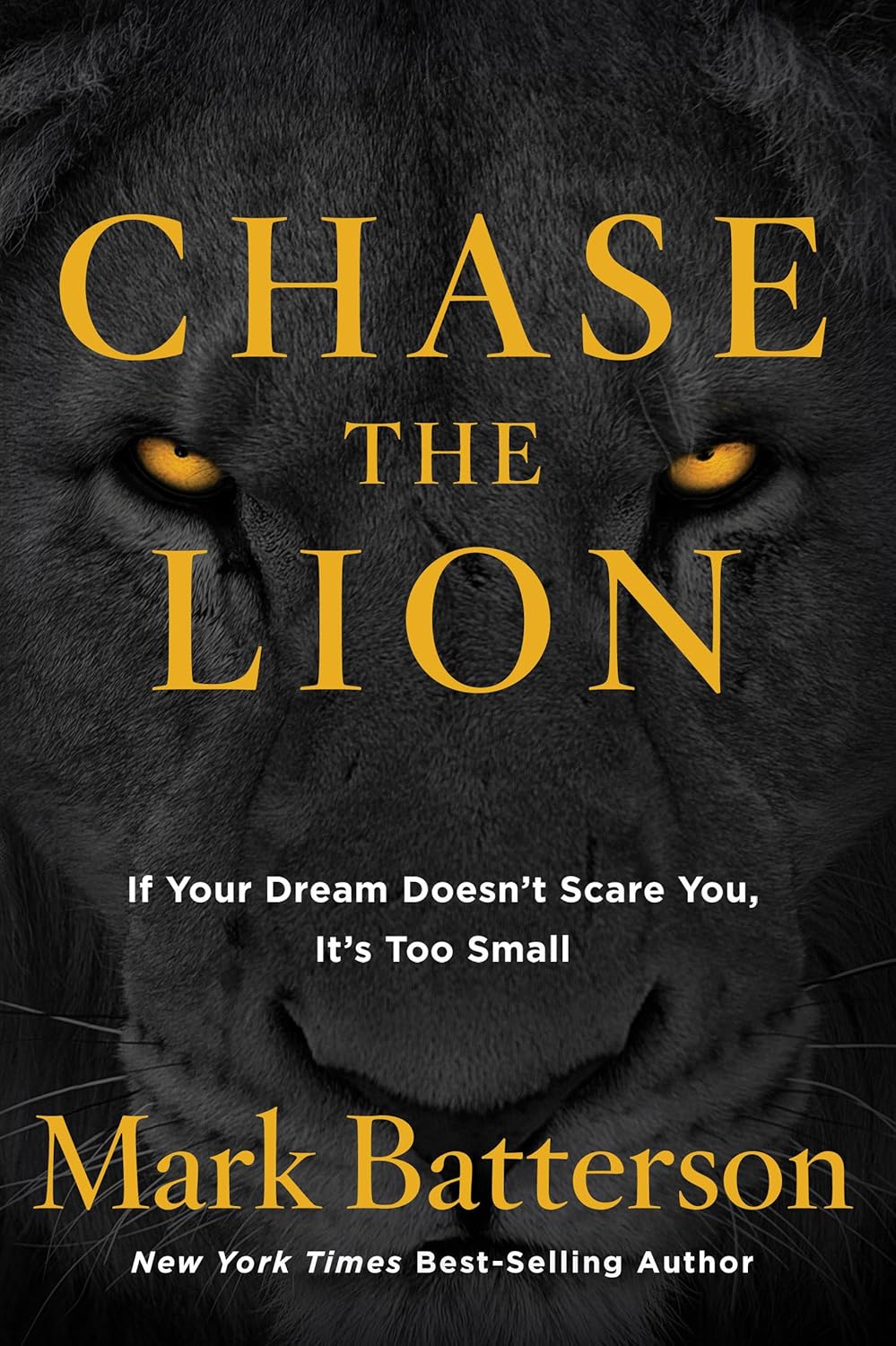 CHASE THE LION by Mark Batterson